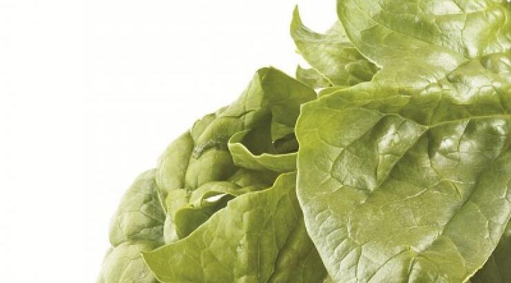 Γιατί να βάλεις το πράσινο στη ζωή σου