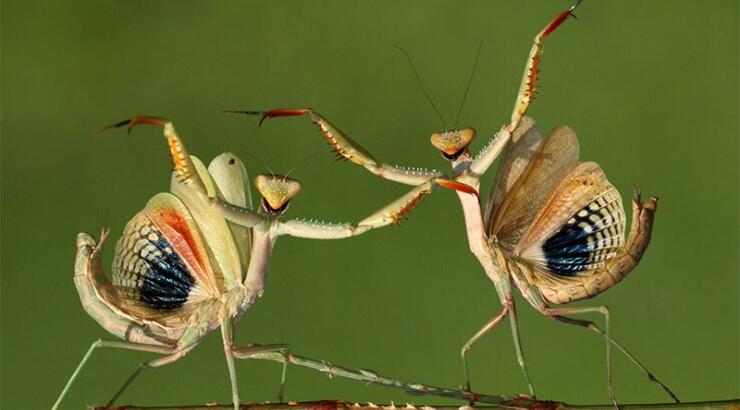 Η Shortlist των Διεθνών Βραβείων Φωτογραφίας 2014