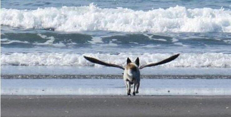 Η φωτογραφία που σαρώνει στο διαδίκτυο