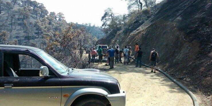 Επείγουσα έκκληση Τμ.Δασών για εθελοντες