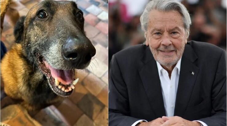 Alain Delon: Σάλος με την επιθυμία του να θανατώσουν τον σκύλο του και να τους θάψουν μαζί