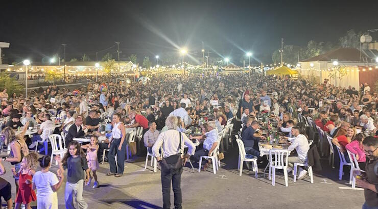 Με μεγάλη επιτυχία πραγματοποιήθηκε το 4ο Φεστιβάλ Παλαιομετόχου