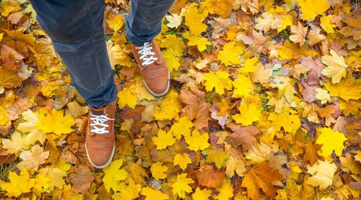 Ποιο χρώμα ανδρικών sneakers ταιριάζει για το φθινόπωρο;