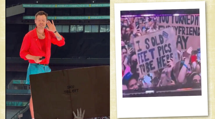 Harry Styles: Έκπληκτος με το πανό Ελληνίδας θαυμάστριας του που έγινε viral [βίντεο]