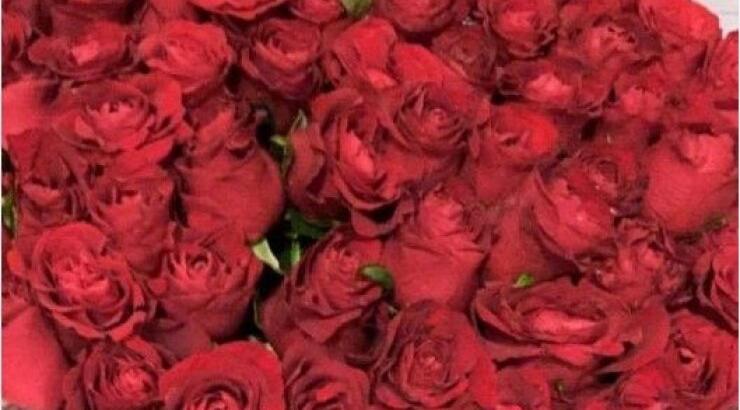Επώνυμη Κύπρια δέχθηκε από άγνωστο αυτά τα υπέροχα κόκκινα τριαντάφυλλα