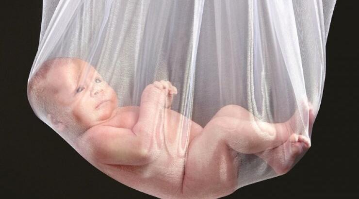 Έρευνα: Κι όμως, τα έμβρυα χασμουριούνται μέσα στη μήτρα!