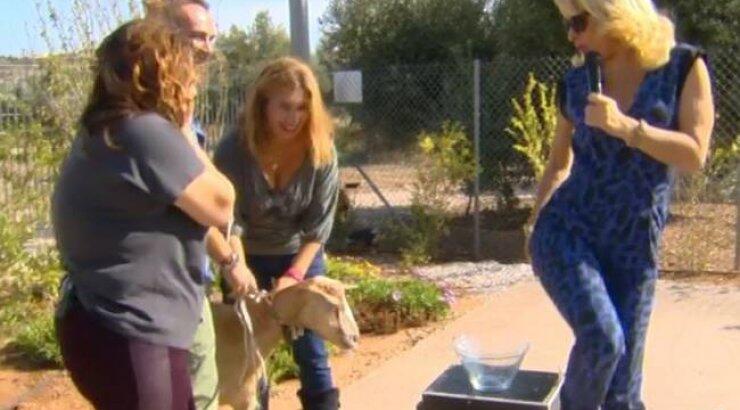 Τρελό γέλιο! Δείτε τι έπαθε η Ελένη Μενεγάκη on air [βίντεο]