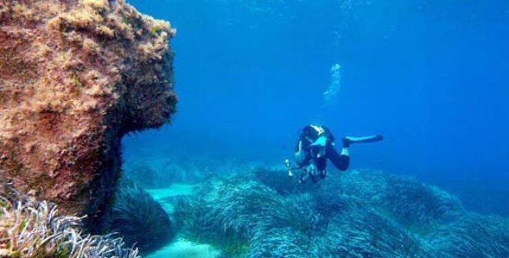 Μάθε για το Δίκτυο Αλιευτικών Περιοχών της Μεσογείου – MedNetPesca