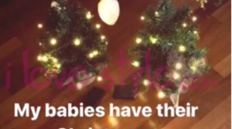 Απλά υπέροχη! Κύπρια socialite στόλισε χριστουγεννιάτικα δεντράκια για… τα σκυλάκια της!