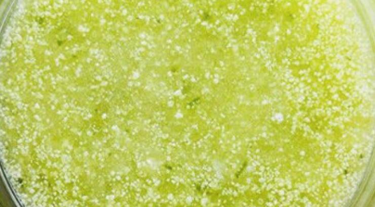 DIY- Δροσιστικό scrub με αγγούρι