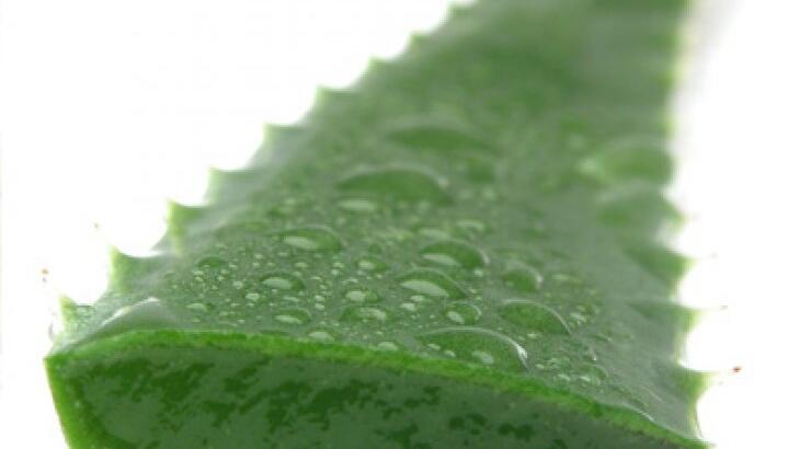 Top 5 Φυσικά Προϊόντα για Υγιεινά Μαλλιά!