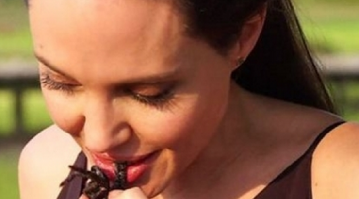 Απίστευτο! Η Angelina Jolie τρώει αράχνες! [βίντεο]