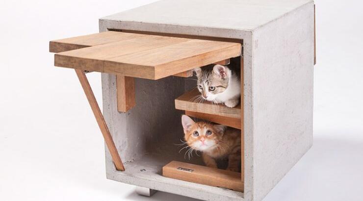 Για τα αδέσποτα