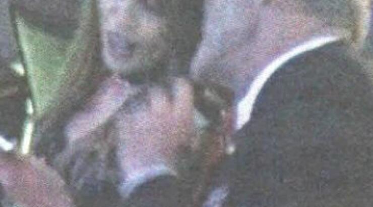 Αρναούτη - Κωστόπουλος: Μαζί στην Αθήνα σε τρυφερά τετ α τετ [εικόνες]