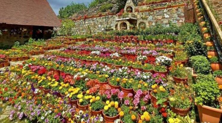 Αυτή η ολάνθιστη αυλή βρίσκεται στην Κύπρο και μπορείς να την επισκεφθείς 