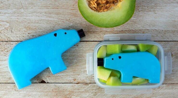 Αρκούδες – παγάκια