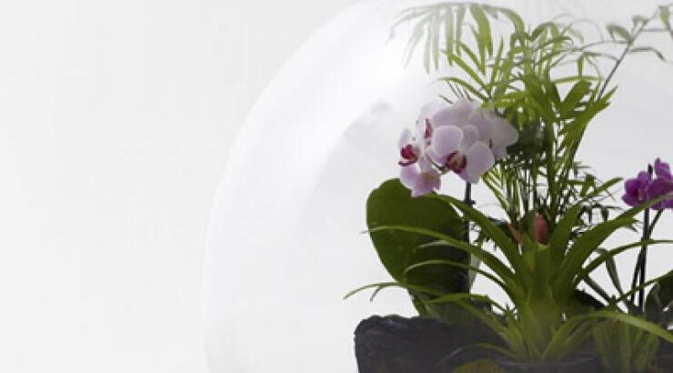 Avant garde οικοσύστημα