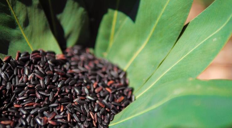 Το μαύρο ρύζι και τα οφέλη στην υγεία μας