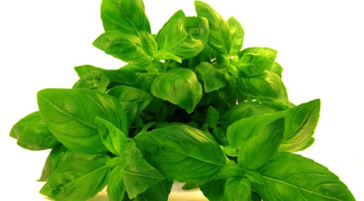 Τα βότανα … μας αφαιρούν κιλά 