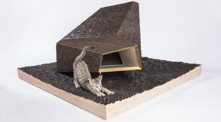 Καταφύγιο για αδέσποτα γατιά