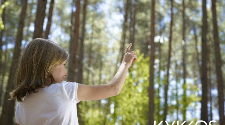 Διαγωνισμός «Ζωγραφίζω το Δάσος του Κύκκου»