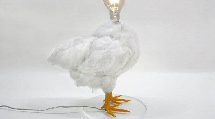 Λάμπα κοτόπουλο!