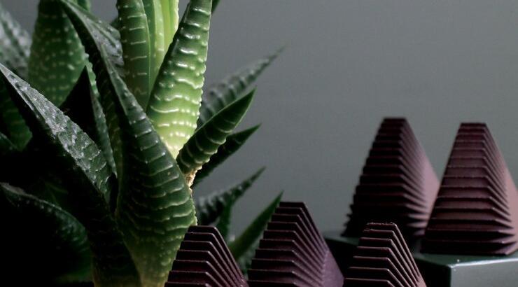 Σοκολάτες - γλυπτά