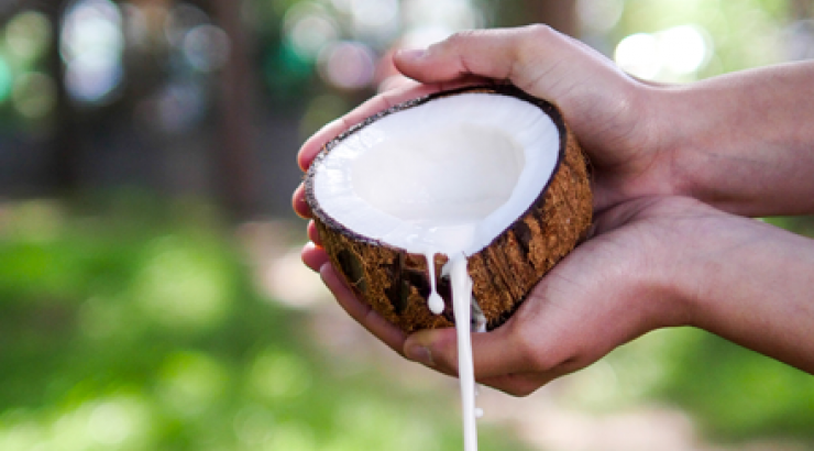 Καρύδα το θαύμα της φύσης!