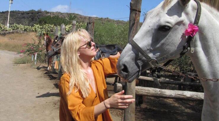 Πασίγνωστη ηθοποιός ξόδεψε 6.000 ευρώ για σώσει άλογα που θα θανατώνονταν [εικόνες]