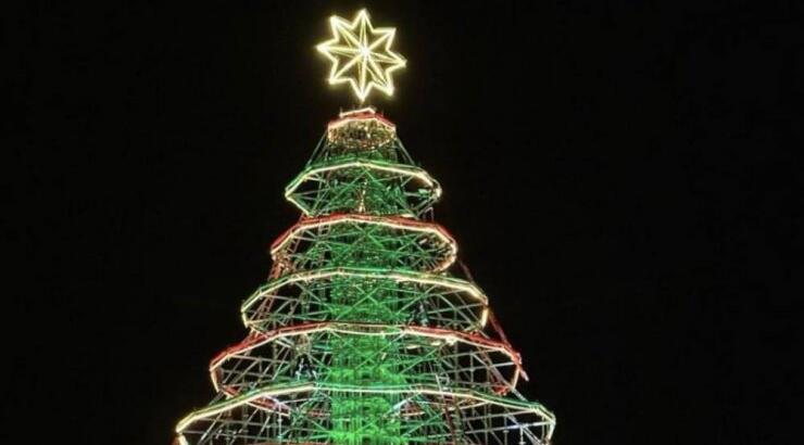 Φωταγωγήθηκε το υψηλότερο δέντρο του νησιού [εικόνες & βίντεο]