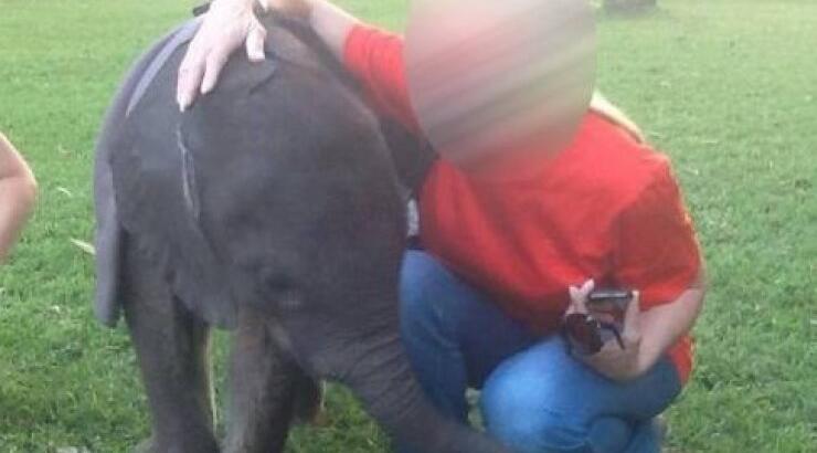 Ελληνίδα σταρ αγκαλιά με το πιο μικρό ελεφαντάκι στον κόσμο!