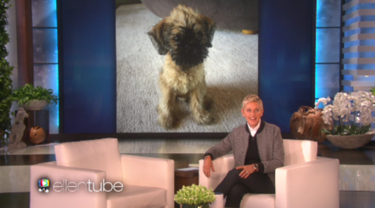 Ellen DeGeneres: Απέκτησε το πρώτο της παιδί με τη σύζυγό της [εικόνα]