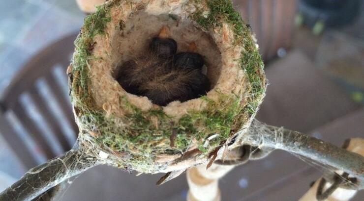 Δείτε τι απίστευτο φωτογράφησε η Eva Longoria [εικόνες]