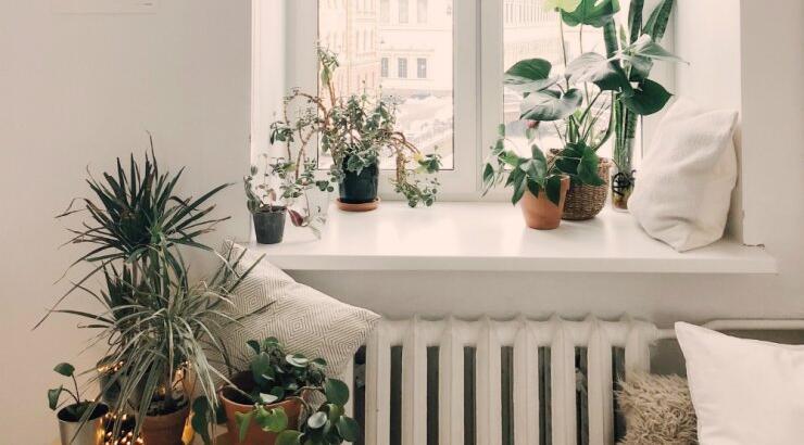 Βάλε φυτά στο σπίτι σου με επτά πρωτότυπους τρόπους