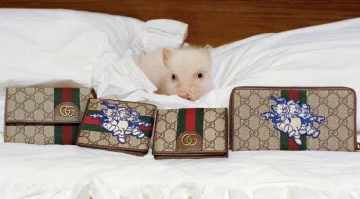 Η νέα συλλογή του οίκου Gucci είναι εμπνευσμένη από τα τρία γουρουνάκια!