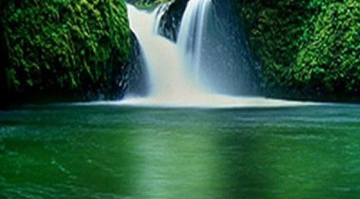 Το πράσινο μας κάνει ευτυχισμένους