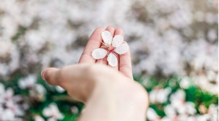 Τέσσερις κρέμες χεριών που θα σώσουν τα χέρια σου από την αφυδάτωση του αντισηπτικού