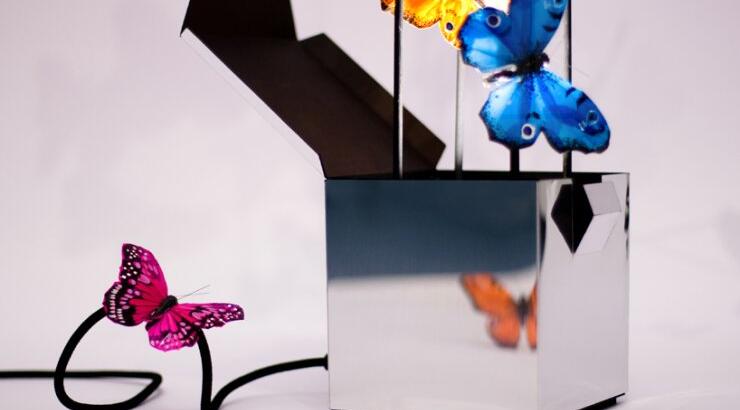 Ένα σμήνος πεταλούδες