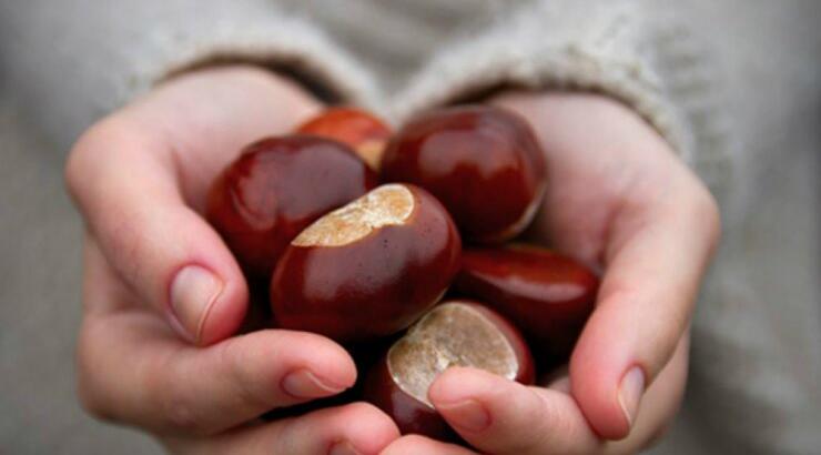 Κάστανο: 5 λόγοι για να γίνει το απόλυτο χειμωνιάτικο τρόφιμο!