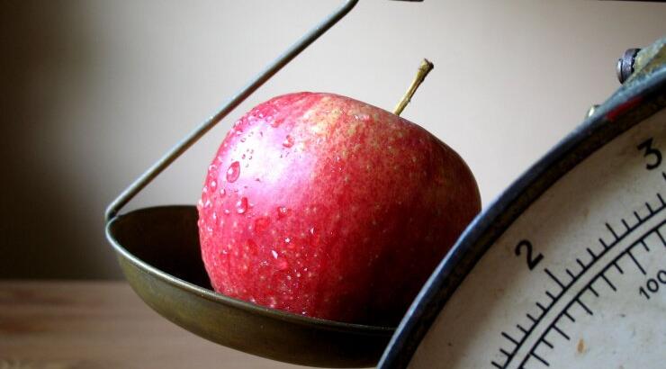  Η απώλεια κιλών, προϋποθέτει τη μείωση τροφής