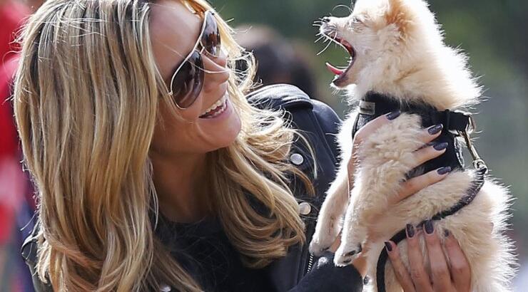 Δείτε το νέο φίλο της Heidi Klum!