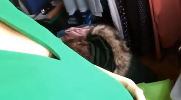 Με φουσκωμένη κοιλίτσα η σύντροφος κούκλου επώνυμου Έλληνα!