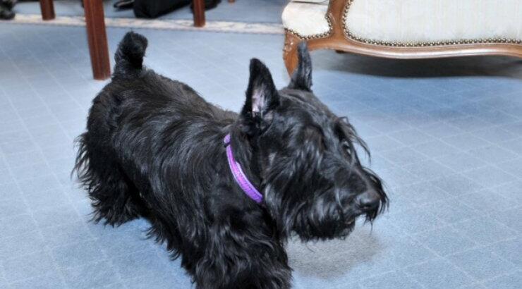 Ο Λίο ποζάρει! 