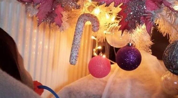 Τα πρώτα Χριστούγεννα για την κορούλα επώνυμης Κύπριας!