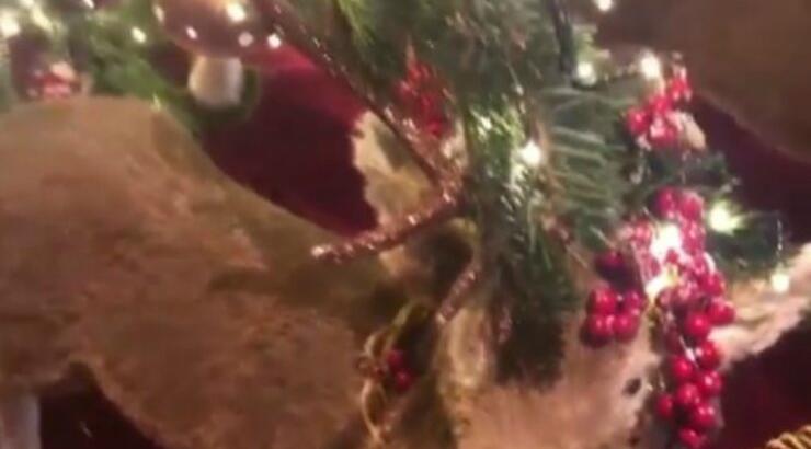 Το δέντρο υπερπαραγωγή που στόλισε επώνυμη Ελληνίδα! [βίντεο]