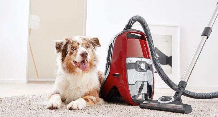 Κερδίστε τώρα μία ηλεκτρική σκούπα  Miele Bagless Cat&Dog