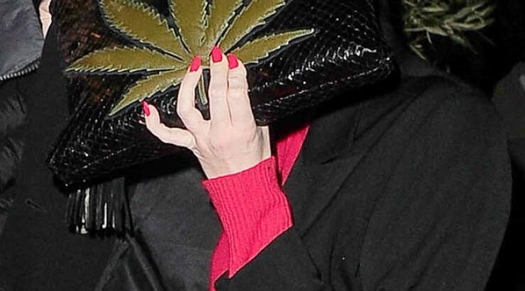 Τραγουδίστρια κυκλοφορεί με τσάντα-κάνναβη [εικόνες]