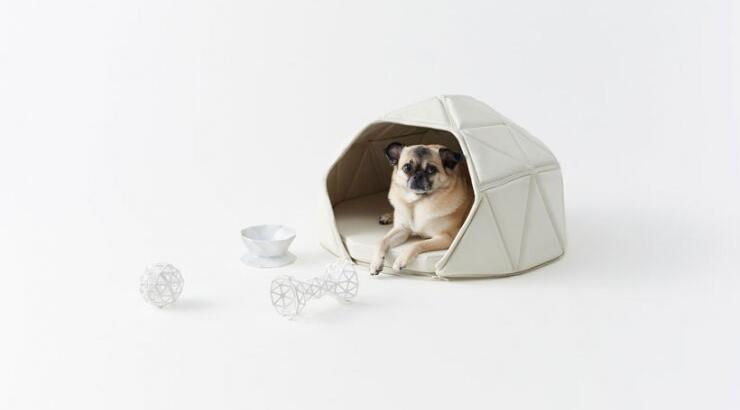 Αξεσουάρ για pets από την Nendo