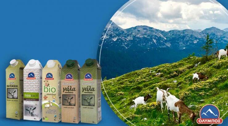 Ανακάλυψε την γκάμα κατσικίσιων προϊόντων της ΟΛΥΜΠΟΣ