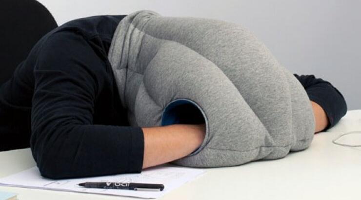 Το μαξιλάρι του στρουθοκαμήλου!